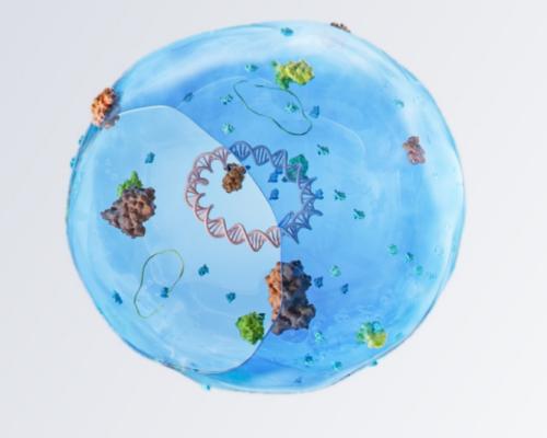 皂苷体外生物转化水解反应的研究进展